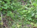 s-img_0318.jpg